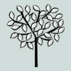 Dr Fry's logo - a tree